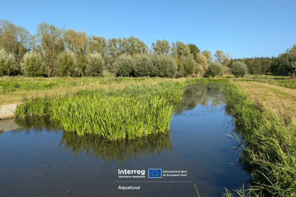 Aquatuur treatment wetland Oost
