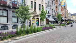 Afstromend regenwater van de weg infiltreert in het stedelijk groen op de IJzerenleen in Mechelen.