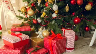 Vlaamse regering legt voor 30 miljoen euro waterprojecten onder de kerstboom