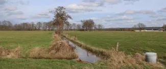 WLS ©Vlaamse Landmaatschappij