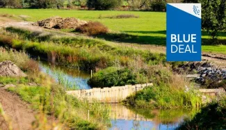 Blue Deal lokale coalities