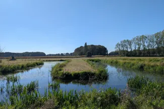 Aquatuur helofytenfilter Oostkamp