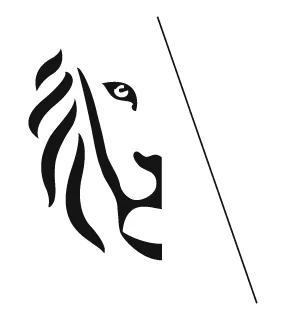 Logo Vlaanderen leeuwtje