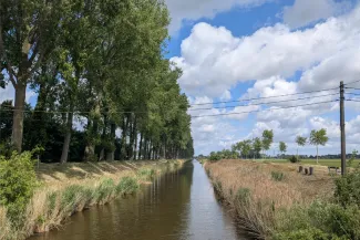 WIJ-Water