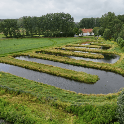 Aquatuur helofytenfilter Oostkamp